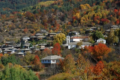 В района